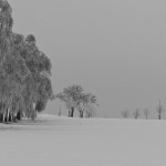 Weihnachtsgruß Winter